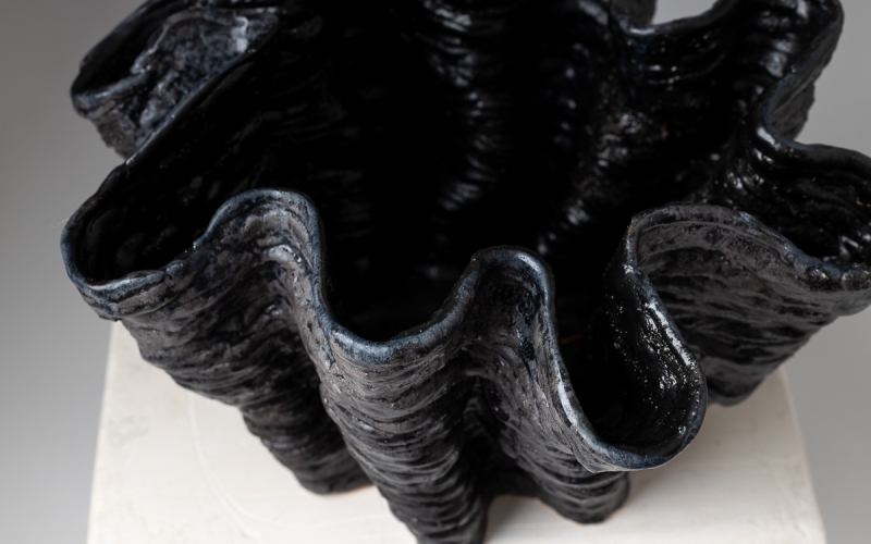 керамическая ваза Ceramum