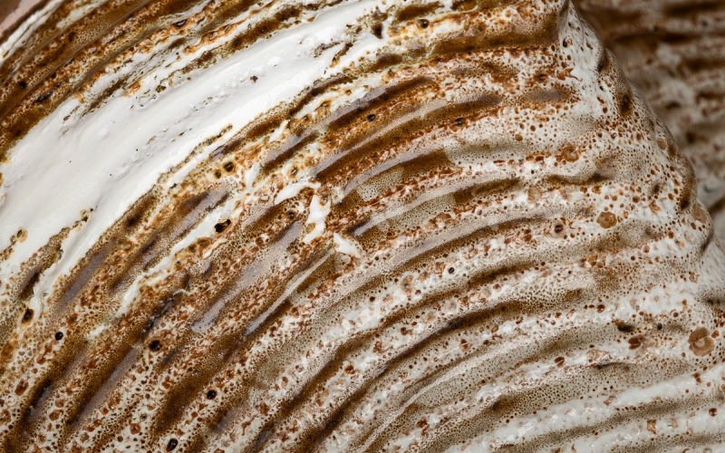 керамическая ваза ceramum